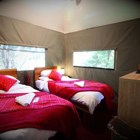 Mali Boutique Lodge & Tube 'N Axe Budget Accommodation Stormsrivier Cameră foto