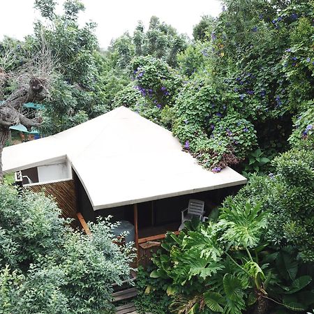 Mali Boutique Lodge & Tube 'N Axe Budget Accommodation Stormsrivier Cameră foto