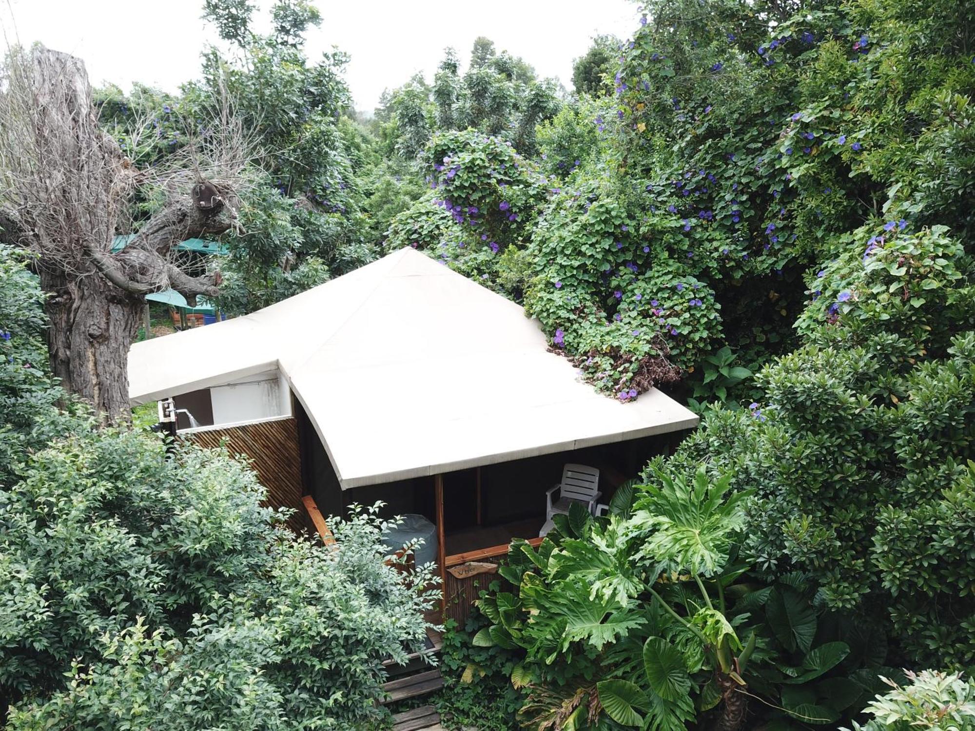 Mali Boutique Lodge & Tube 'N Axe Budget Accommodation Stormsrivier Cameră foto