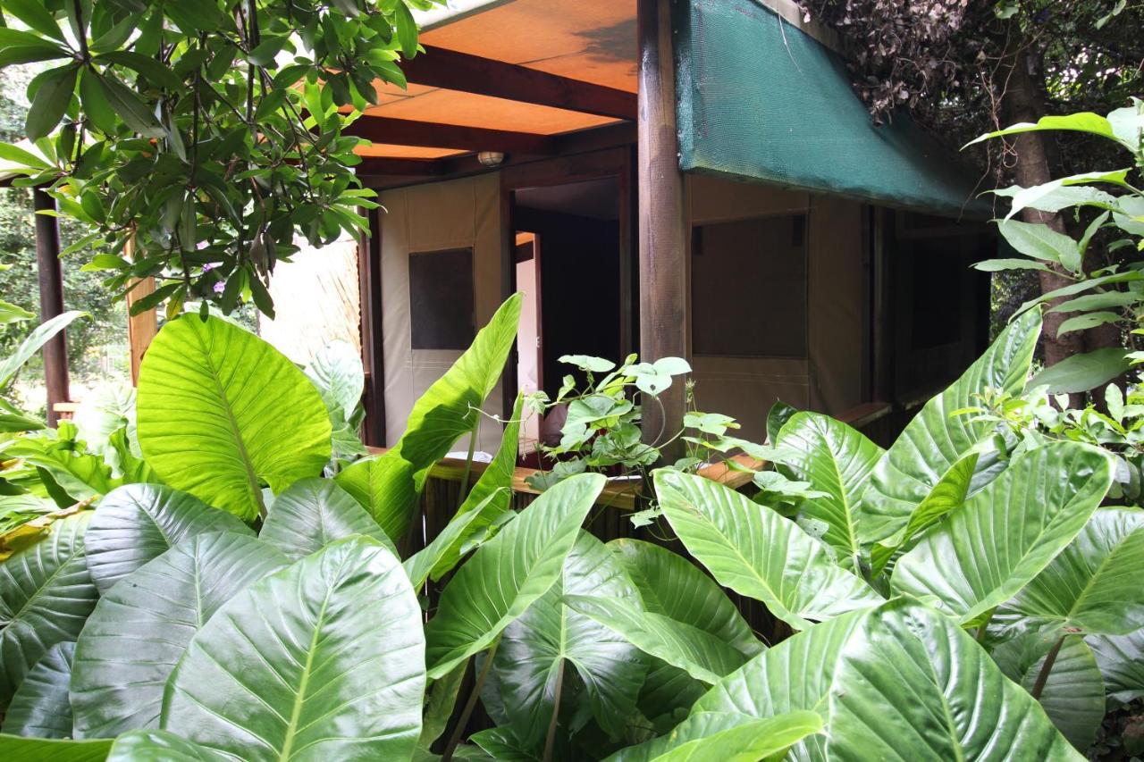 Mali Boutique Lodge & Tube 'N Axe Budget Accommodation Stormsrivier Exterior foto